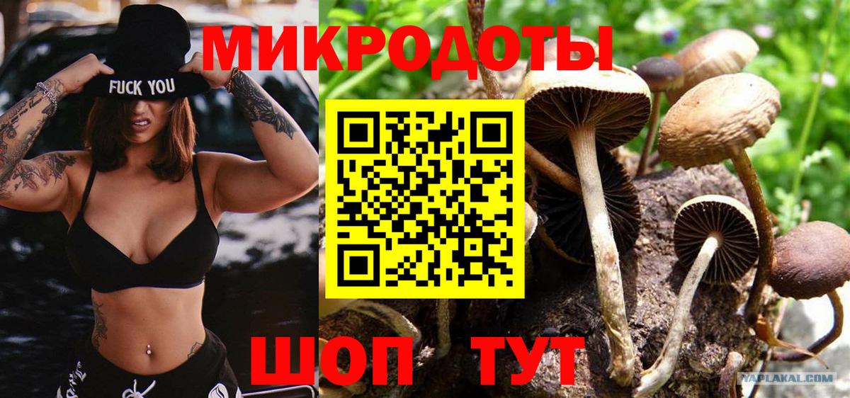 Псилоцибиновые грибы прущие грибы Лобня