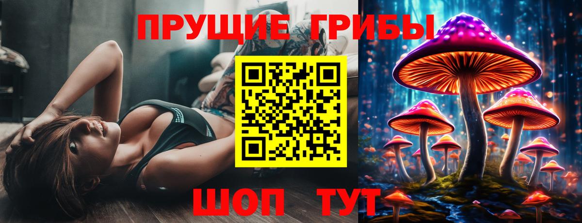 Галлюциногенные грибы Psilocybe  Псилоцибиновые грибы GOLDEN TEACHER  Вход с VPN  купить   Лобня 